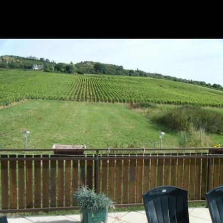 Maison Au Milieu Des Vignes Moroges Ngoại thất bức ảnh