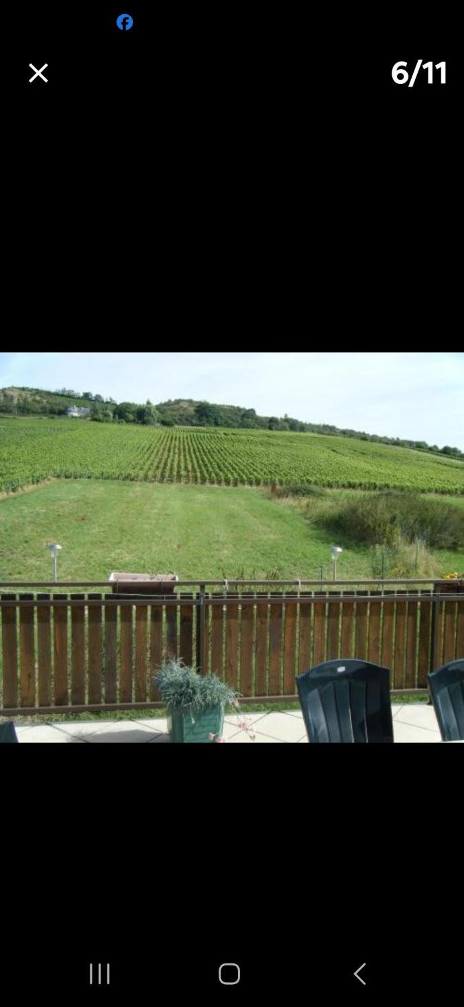 Maison Au Milieu Des Vignes Moroges Ngoại thất bức ảnh